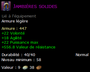 Jambières solides