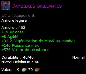 Jambières brillantes