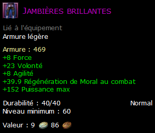 Jambières brillantes