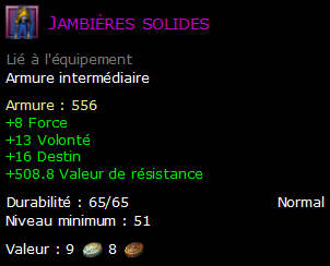 Jambières solides