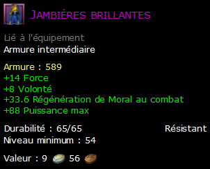 Jambières brillantes