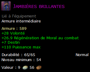 Jambières brillantes