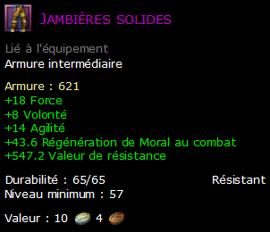 Jambières solides