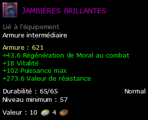 Jambières brillantes