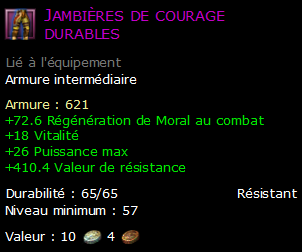 Jambières de courage durables