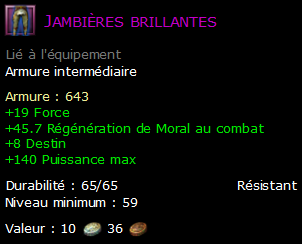 Jambières brillantes