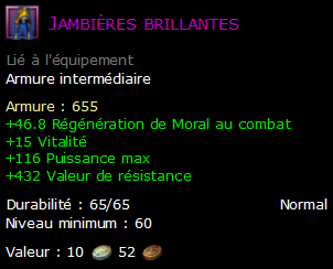 Jambières brillantes