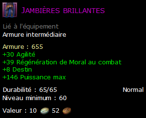 Jambières brillantes