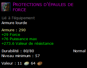 Protections d'épaules de force