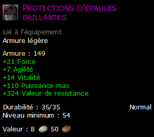 Protections d'épaules brillantes