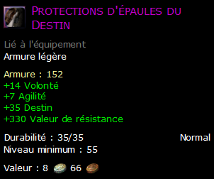 Protections d'épaules du Destin