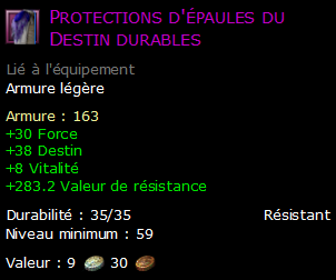 Protections d'épaules du Destin durables