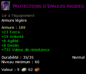 Protections d'épaules rigides