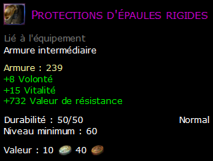 Protections d'épaules rigides