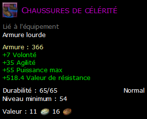 Chaussures de célérité