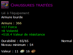 Chaussures traitées