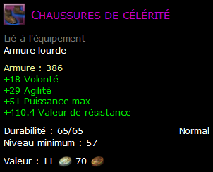 Chaussures de célérité