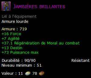 Jambières brillantes