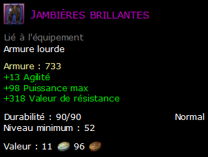 Jambières brillantes