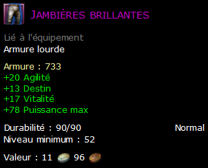 Jambières brillantes