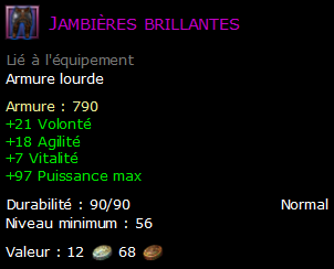 Jambières brillantes