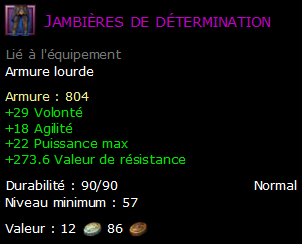 Jambières de détermination