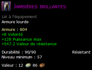 Jambières brillantes