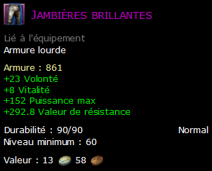 Jambières brillantes