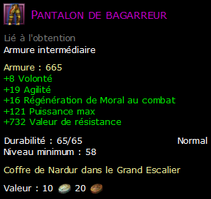 Pantalon de bagarreur