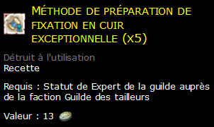 Méthode de préparation de fixation en cuir exceptionnelle (x5)