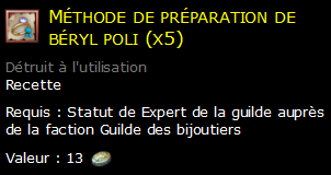 Méthode de préparation de béryl poli (x5)