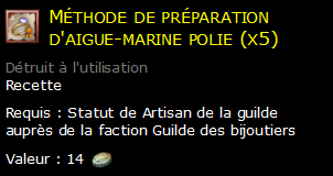 Méthode de préparation d'aigue-marine polie (x5)