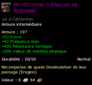 Protections d'épaules de Ruidhriel