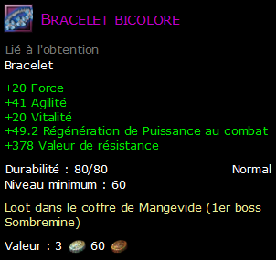 Bracelet bicolore