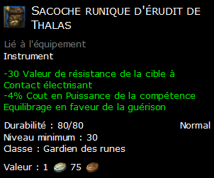 Sacoche runique d'érudit de Thalas