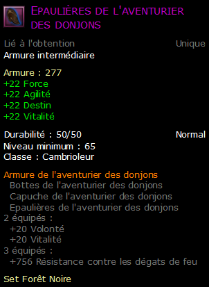 Epaulières de l'aventurier des donjons