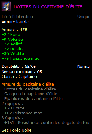 Bottes du capitaine d'élite