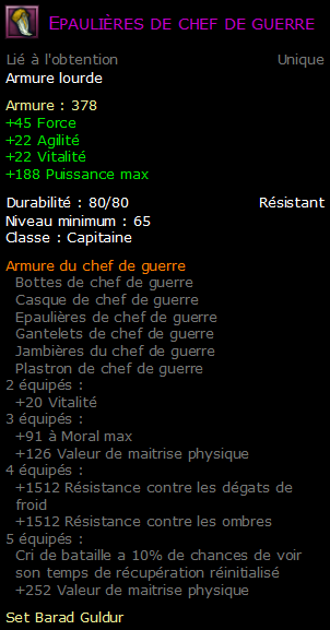 Epaulières de chef de guerre