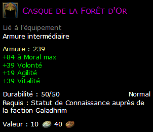 Casque de la Forêt d'Or