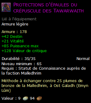 Protections d'épaules du crépuscule des Tawarwaith