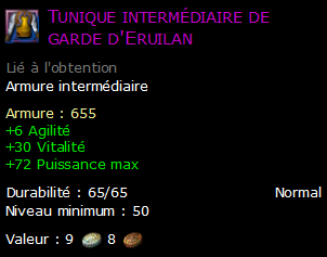 Tunique intermédiaire de garde d'Eruilan