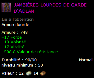 Jambières lourdes de garde d'Adlan