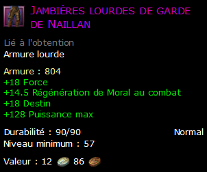 Jambières lourdes de garde de Naillan