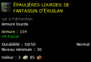 Epaulières lourdes de fantassin d'Eruilan