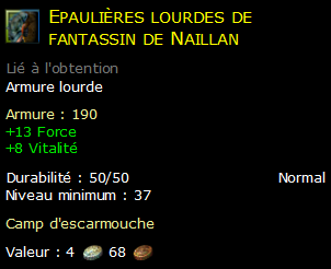 Epaulières lourdes de fantassin de Naillan