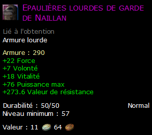 Epaulières lourdes de garde de Naillan