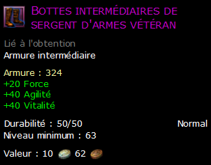 Bottes intermédiaires de sergent d'armes vétéran