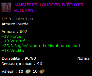 Jambières lourdes d'écuyer vétéran