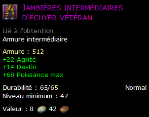 Jambières intermédiaires d'écuyer vétéran