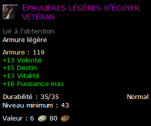 Epaulières légères d'écuyer vétéran